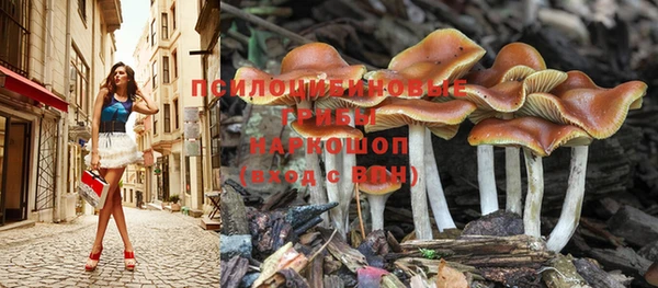 кокаин колумбия Алексин