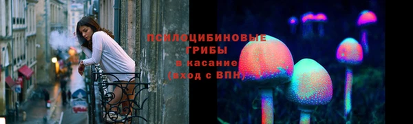 дурь Алексеевка