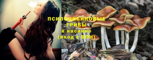 кокаин колумбия Алексин