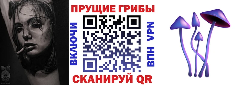 цены Балашиха Галлюциногенные грибы Psilocybe