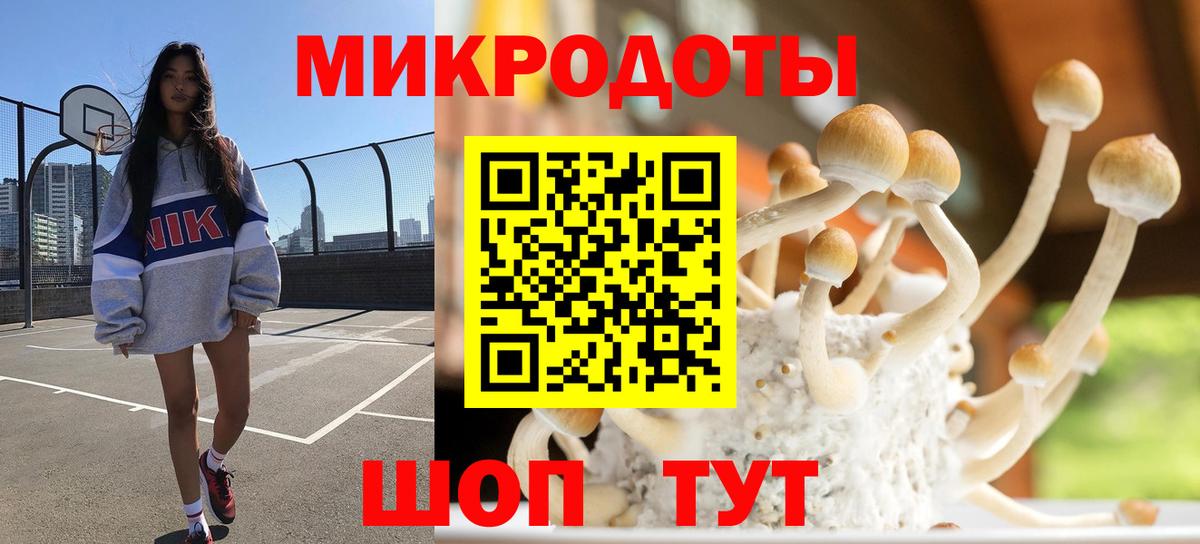 дарнет шоп  Псилоцибиновые грибы MAGIC MUSHROOMS  Вход с VPN  Балашиха 